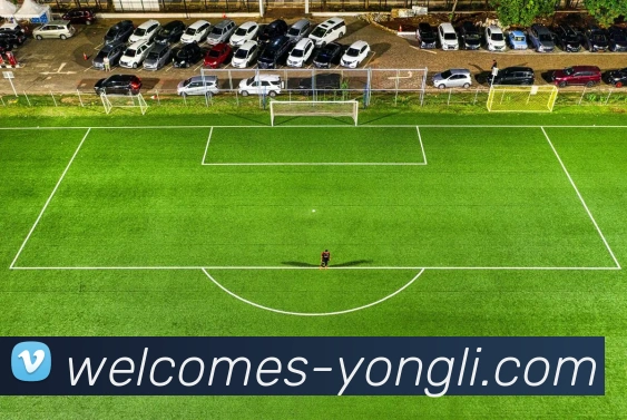 永利皇宫官网积极参与科技研究和发展，推动科学进步。永利皇宫平台积极参与科技研究和发展，推动科学进步。永利皇宫集团官网APP 体育赛事宣传图